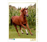 CALVENDO Puzzle EIN Motiv aus dem Kalender Pferde ... fliegen Ohne Flügel 1000 Teile Puzzle Hoch 1000 Pieces 48 x 64 cm from K. Grüttner
