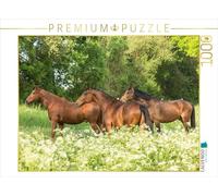 CALVENDO Puzzle EIN Motiv aus dem Kalender Pferde im Grünen 1000 Teile Puzzle quer 1000 Pieces 64 x 48 cm from Ella