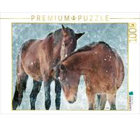 CALVENDO Puzzle Ein Motiv aus dem Kalender Pferde zum Träumen | 1000 Teile Lege-