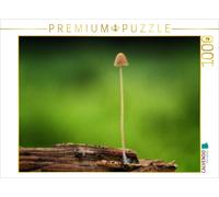 CALVENDO Puzzle Ein Motiv aus dem Kalender Pilze, die stillen Waldbewohner 2019