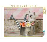 CALVENDO Puzzle Ein Motiv aus dem Kalender RAGDOLLS Impressionen aus der Kinders