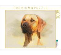 CALVENDO Puzzle Ein Motiv aus dem Kalender Rhodesian Ridgeback 2017 | 1000 Teile