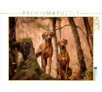 CALVENDO Puzzle EIN Motiv aus dem Kalender Rhodesian Ridgeback - Herzen Auf Vier Pfoten 1000 Teile Puzzle quer 1000 Pieces 64 x 48 cm from Sabrina Mischnik