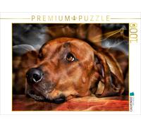 CALVENDO Puzzle Rhodesian Ridgeback - Moments - 1000 Pieces 64 x 48 cm from Dagmar Behrens
