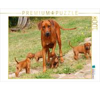 CALVENDO Puzzle Ein Motiv aus dem Kalender Rhodesian Ridgebacks | 1000 Teile Leg