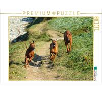 CALVENDO Puzzle Ein Motiv aus dem Kalender Rhodesian Ridgebacks in Aktion | 1000