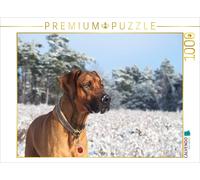 CALVENDO Puzzle Ein Motiv aus dem Kalender Ridgebacks - Hunde aus Afrika | 1000