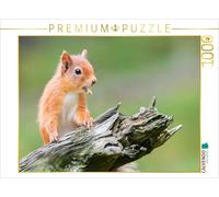 CALVENDO Puzzle Ein Motiv aus dem Kalender Rote Eichhörnchen | 1000 Teile Lege-G