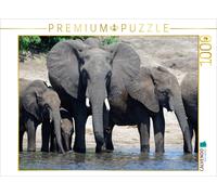 CALVENDO Puzzle Ein Motiv aus dem Kalender Rüsseltiere - Afrikanische Elefanten