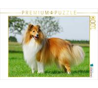CALVENDO Puzzle Ein Motiv aus dem Kalender Sheltie 2017 | 1000 Teile Lege-Größe