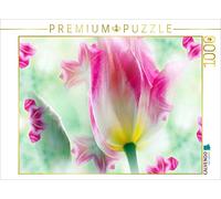 CALVENDO Puzzle EIN Motiv aus dem Kalender Tulpenphantasie 1000 Teile Puzzle quer 1000 Pieces 64 x 48 cm from Renate Grobelny