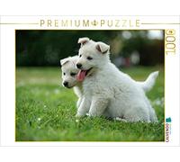 CALVENDO Puzzle EIN Motiv aus dem Kalender Welpen Zeit - Berger Blanc Suisse 1000 Teile Puzzle quer 1000 Pieces 64 x 48 cm from Tanja Riedel