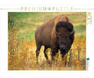 CALVENDO Puzzle EIN Motiv aus dem Kalender Wisent & Bison 1000 Teile Puzzle quer 1000 Pieces 64 x 48 cm from Elisabeth Stanzer