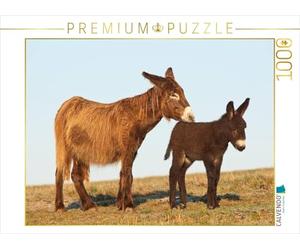 CALVENDO Puzzle EIN Motiv aus dem Kalender Zauberhafte Esel 1000 Teile Puzzle quer 1000 Pieces 64 x 48 cm from Meike Bölts