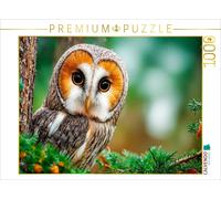 CALVENDO Puzzle Eine aufmerksame Schleiereule | 1000 Teile Lege-Größe 64 × 48 cm