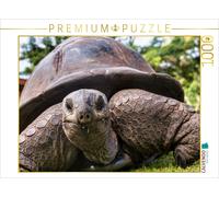 CALVENDO Puzzle Eine der über 300 Seychellen-Riesenschildkröten auf Curieuse | 1