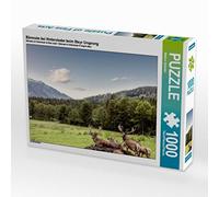 CALVENDO Puzzle Eine Herde Rotwild weiden in der schönen Natur in den Bergen Von Hinterstoder 1000 Teile Puzzle quer 1000 Pieces 64 x 48 cm from Markus Schieder