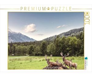 CALVENDO Puzzle Eine Herde Rotwild weiden in der schönen Natur in den Bergen Von Hinterstoder 1000 Teile Puzzle quer 1000 Pieces 64 x 48 cm from Markus Schieder