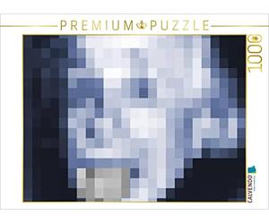 CALVENDO Puzzle Einstein 1000 Teile Puzzle quer 1000 Pieces 64 x 48 cm from H.T.Manfred Zimmermann