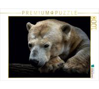 CALVENDO Puzzle Eisbär 1000 Teile Puzzle quer | 1000 Teile Lege-Größe 64x48cm Fo