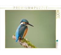 CALVENDO Puzzle Eisvogel 1000 Teile Puzzle quer 1000 Pieces 64 x 48 cm from Johann Schörkhuber