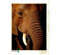 CALVENDO Puzzle Elefant.....Auge in Auge | 1000 Teile Lege-Größe 64x48cm Foto-Pu