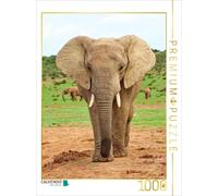 CALVENDO Puzzle Elephant | 1000 pieces, finished size 25.2 × 18.9 in (64 × 48 cm
