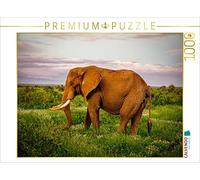 CALVENDO Puzzle Éléphant dans la Savane 1000 Pieces 64 x 48 cm from Heinz-Peter Schwerin