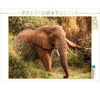 CALVENDO Puzzle Éléphant dans Le Serengeti Central 1000 Pieces 64 x 48 cm from Dirk Stamm