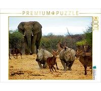 CALVENDO Puzzle Éléphant et Autres Animaux africains 1000 Pieces 64 x 48 cm from Eduard Tkocz