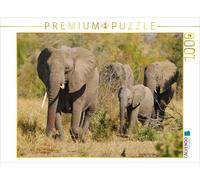 CALVENDO Puzzle Famille d'éléphants 1000 Pieces 64 x 48 cm from Kirsten Karius