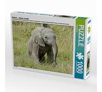 CALVENDO Puzzle Éléphant.....littlejumbo 1000 Pieces 64 x 48 cm from Susan Michel