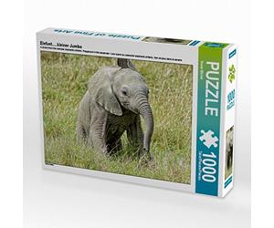 CALVENDO Puzzle Éléphant.....littlejumbo 1000 Pieces 64 x 48 cm from Susan Michel