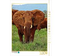 CALVENDO Puzzle Éléphant....on Safari 1000 Pieces 48 x 64 cm from Susan Michel