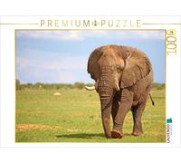 CALVENDO Wibke Woyke Puzzle éléphant en tournée Namibie 1000 pièces Taille 64 x 48 cm Photo Puzzle Image
