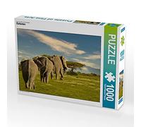 CALVENDO Puzzle Éléphants 1000 Pieces 64 x 48 cm from Heinz-Peter Schwerin