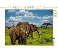 CALVENDO Puzzle Éléphants 1000 Pieces 64 x 48 cm from Heinz-Peter Schwerin