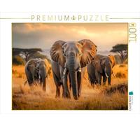 CALVENDO Puzzle éléphants | 1000 pièces de Taille de Ponte 64 x 48 cm Puzzle Photo pour des Heures heureuses