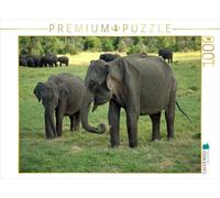 CALVENDO Puzzle éléphants à Menneriya | 1000 pièces Taille de la Pose 64 x 48 cm Puzzle Photo pour des Heures heureuses