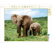 CALVENDO Puzzle Éléphants d'Afrique à Addo 1000 Pieces 64 x 48 cm from Anke Van Wyk