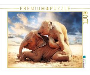 CALVENDO Puzzle Éléphants d'Asie frères et sœurs 1000 Pieces 64 x 48 cm from Antje Wenner-Braun