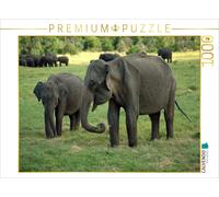 Puzzle · Les éléphants à Menneriya | Le spectacle naturel spectaculaire du Sri Lanka · 1000 pièces · Format assemblé 64 × 48 cm · CALVENDO Puzzle