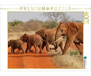 CALVENDO Puzzle Éléphants - Parade 1000 Pieces 64 x 48 cm from Michael Herzog