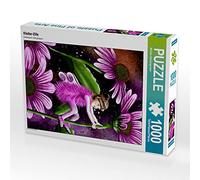 CALVENDO Puzzle Elfe d'escalade 1000 Pieces 48 x 64 cm from Starzengruber Monika