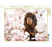 CALVENDO Puzzle Elvis à 9 Mois 1000 Pieces 64 x 48 cm from Sabrina Wobith