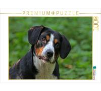 CALVENDO Puzzle Emma, the Entlebuch Mountain Dog | 1000 pieces, finished size 25