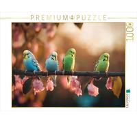 CALVENDO Puzzle en Couleur pour se Baigner, rêver en Silence | 1000 pièces de Taille 64 x 48 cm Puzzle Photo pour des Heures heureuses