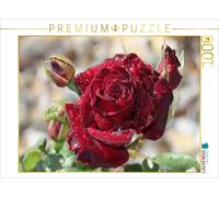 CALVENDO Puzzle Enchanting roses | 1000 pieces, finished size 25.2 × 18.9 in (64