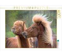 CALVENDO Puzzle Energy | 1000 pieces, finished size 25.2 × 18.9 in (64 × 48 cm)