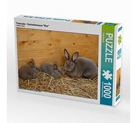 CALVENDO Puzzle Enfants Animaux - Lapin de Race Rex 1000 Pieces 64 x 48 cm from Anja Bagunk